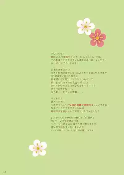 [Shigunyan (Shigunyan)] Ema ni Onegai Usagi -Hatsujou Usagi Shiro Seijun to Kuro Bitch- [Chinese] [甜族星人x我不看本子汉化][Digital]