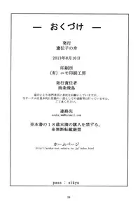 (C84) [Idenshi no Fune (Nanjou Asuka)] R-R ~After~ 02 (Chousoku Henkei Gyrozetter)