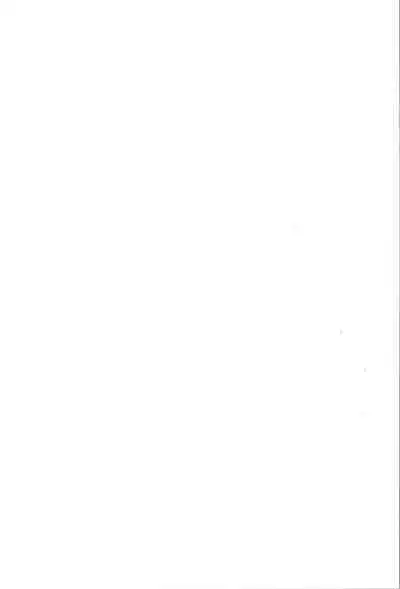 TS Mahou Shoujo Pure Rabbit 3 Kindan no Nagusamex