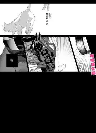 Bakeneko to Miboujin | 猫与未亡人