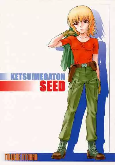 (C64) [Toluene Ittokan (Pierre Norano, Shinagawa Ham)] Ketsu Megaton Seed (Gundam Seed) [Chinese] 【零食汉化组】