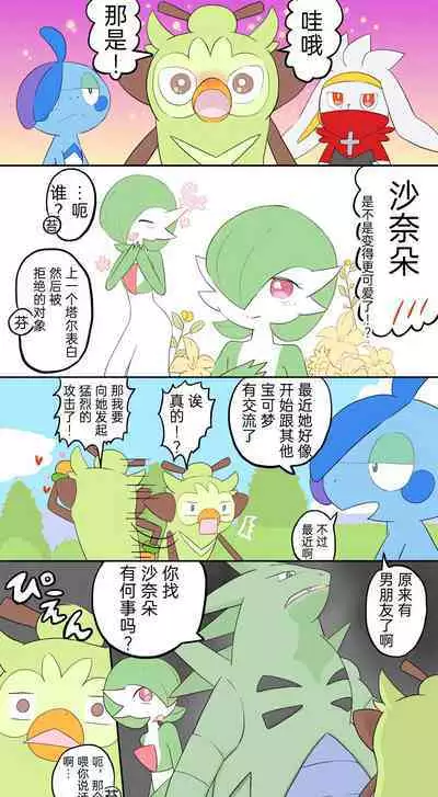 |宝可梦的故事（呜鸟木个人汉化组）