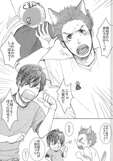 ココ掘れわんわんっ!