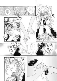 (C74) [Shoujo Zukin (Hatomugi Munmun)] Marecollect (Touhou Project)