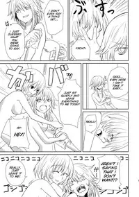 (Reitaisai SP2) [Tatakai no Kiseki (Senyuu)] oo Play ga Mitaindesu!! (Touhou Project) [English] [SMDC]