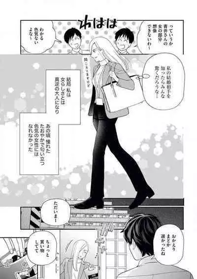 Kannou Shousetsuka ga Sex o Shinai Riyuu