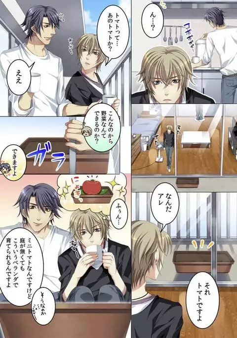 Celeb, Kai Hajimemashita ~Tomato Kareshi no Tsukurikata~