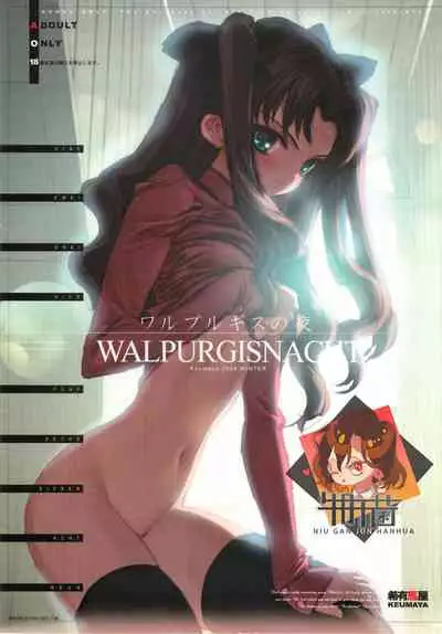 (C67) [Keumaya (Inoue Junichi)] Walpurgisnacht / Walpurgis no Yoru (Fate/stay night) [Chinese] [牛肝菌汉化]