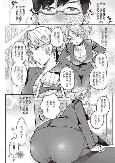 Anata no Yokubou no Iremono desu.