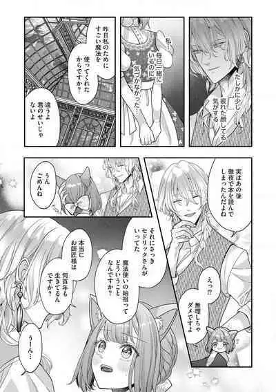 Nene to Ikoku no Mahoutsukai Isekai ni Shoukan Sareta to Omottara, Naze ka Koneko to shite Aigan Saretemasu 1-5