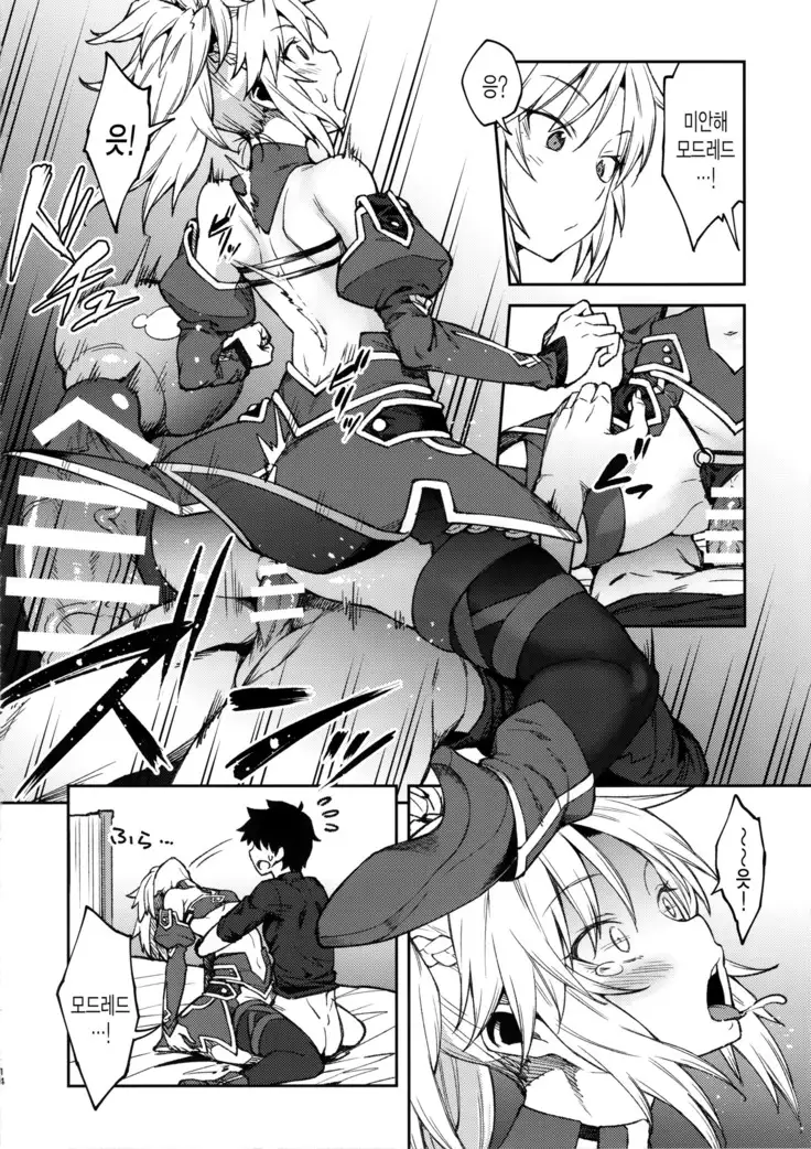 Chaldea Life II | 칼데아 라이프 II