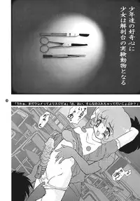 [FLASHBACK & Nippon Gyouretsu Shinkoukai] CHARA EMU CHARACTER EMULATION Series 1 MAGICALGIRLS (Mahou Shoujo Series)