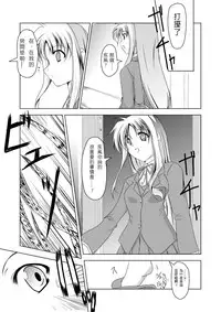 (C74) [TRICKorTREAT (Kagura Tsukune)] InSulT II (Mahou Shoujo Lyrical Nanoha) [Chinese] [靴下汉化组]