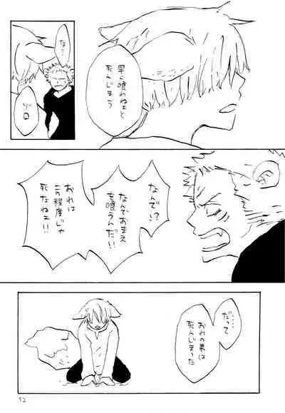 海の虹が沈む森