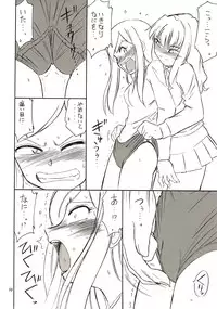 (C67) [EINSATZ GRUPPE (Charlie Nishinaka)] B-2 H-i-M-E (Mai-HiME)