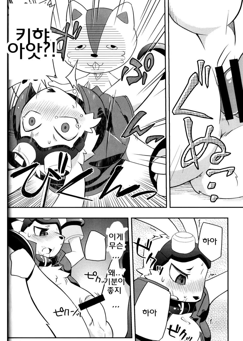 Usagi no Tenteki, Risu no Kamo