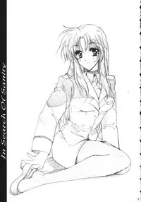(Lyrical Magical 5) [Gin No Hoshitei (Tamiya Akito)] In Search Of Sanity (Mahou Shoujo Lyrical Nanoha)