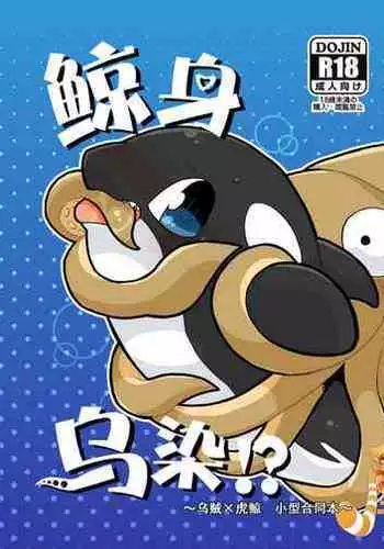 Shachi Ero wa Ikaga!? | 鲸身乌染!?