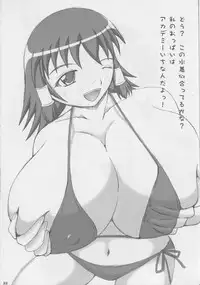 (Tora Matsuri 2010) [SHi's Laboratory (SHINGO)] PAI-Z-ReMix (Various)