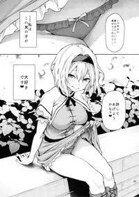 (C91) [Anmitsuyomogitei (Michiking)] Karakai Jouzu no Alice-san! + Kaijou Gentei Paper (Touhou Project)