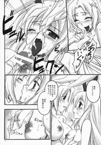 (C75) [Himeya (Abe Inori)] Usagi ga Mita Yume (Touhou Project)