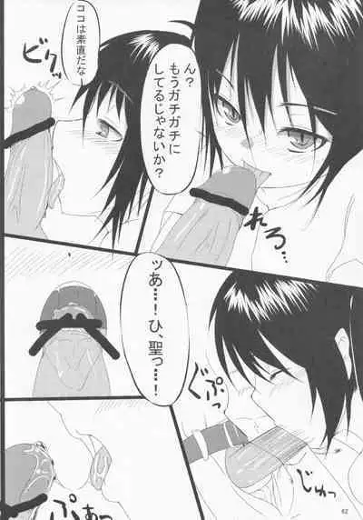 Pawaplus H 2012 Fuyu