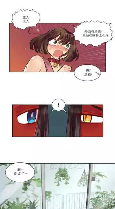 Devil Drop | 天降惡魔