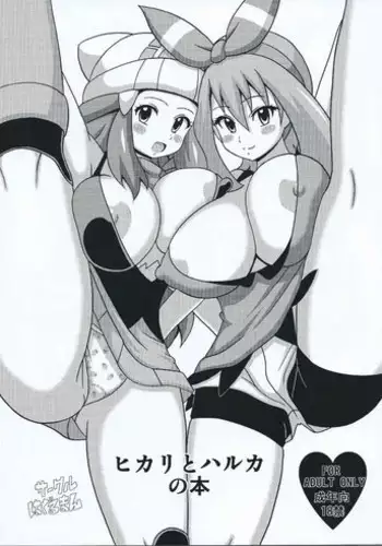 (SC65) [Haguruman (Koutarosu)] Hikari to Haruka no Hon (Pokemon)