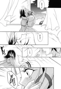 (C76) [Barbaroi no Sato (Ryuuka Ryou)] Inmu - yami ni nureru yoru - (Vampire Princess Miyu)