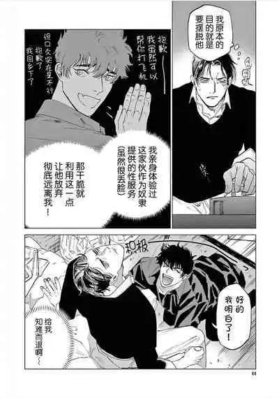 TOKYO Hikari Auction｜东京光之拍卖会