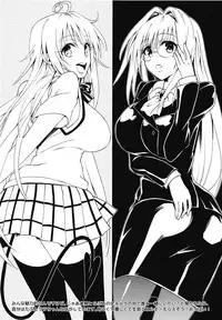 (C91) [Samurai Ninja GREENTEA] Samurai Ninja GREENTEA FuyuComi C91 Event Gentei Sasshi (To LOVE-Ru)