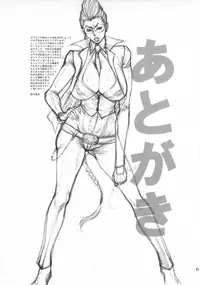 (C79) [Ozashiki (Sunagawa Tara)] 03 Shiki NICESHOT (Street Fighter) [English] =LWB=