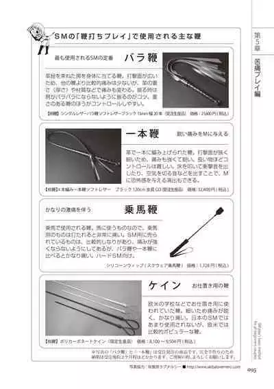 いますぐデキる 図説SMプレイマニュアル