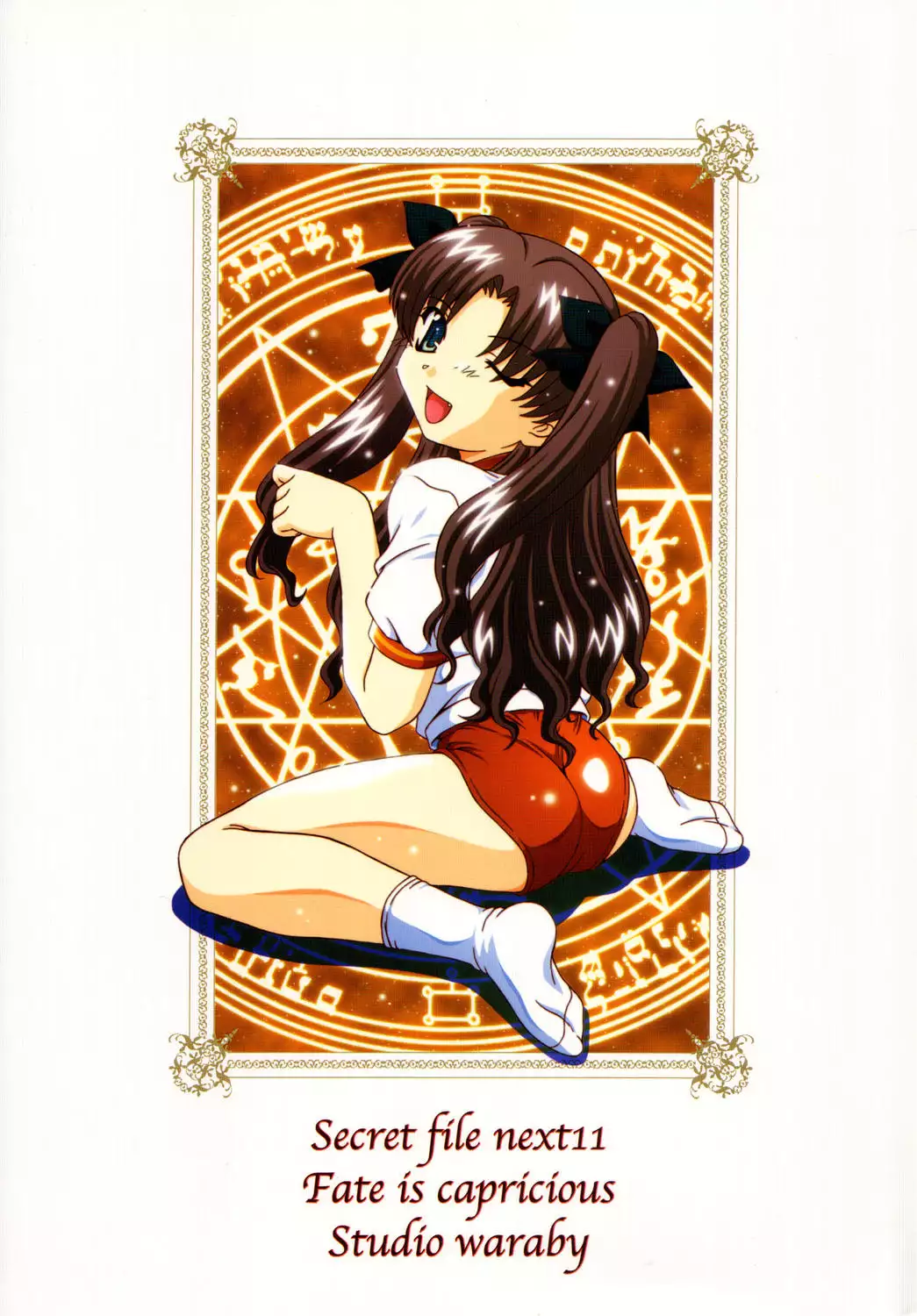 SECRET FILE NEXT 11 - Fate is capricious