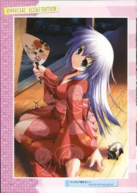 Primitive Link Visual Fanbook