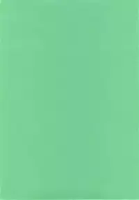 (C76) [Botugo (RYO)] Little Little Princess (VOCALOID)