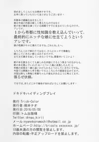 (Reitaisai 13) [Trick-Color (Kirii Nao)] Doki Doki Hiding Play (Touhou Project)