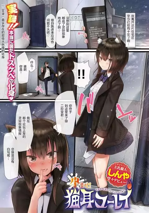 孕ませ!猫耳ユーレイ