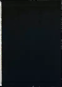 [Oda Non] NON VIRGIN 【Limited Edition】 CHRONICLE-FULLCOLOR BOOKLET-SIDE:MELON + NON VIRGIN LINE WORKS + Postcard