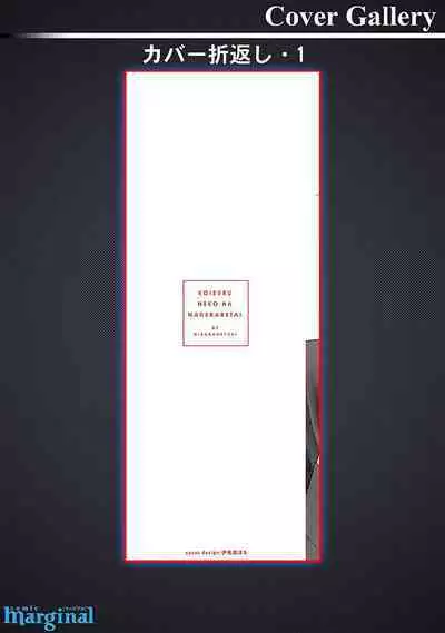 恋爱中的猫咪想被抚摸