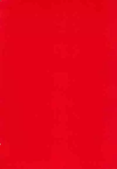 Gohan-san wa Boku to Ecchi na Koto wo Shita Tsugi no Hi wa Neoki ga Yokunai