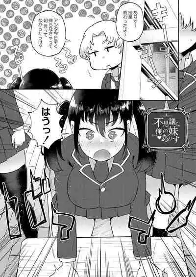 Daijoubu. Jitsuimouto no Kouryakubon da yo.