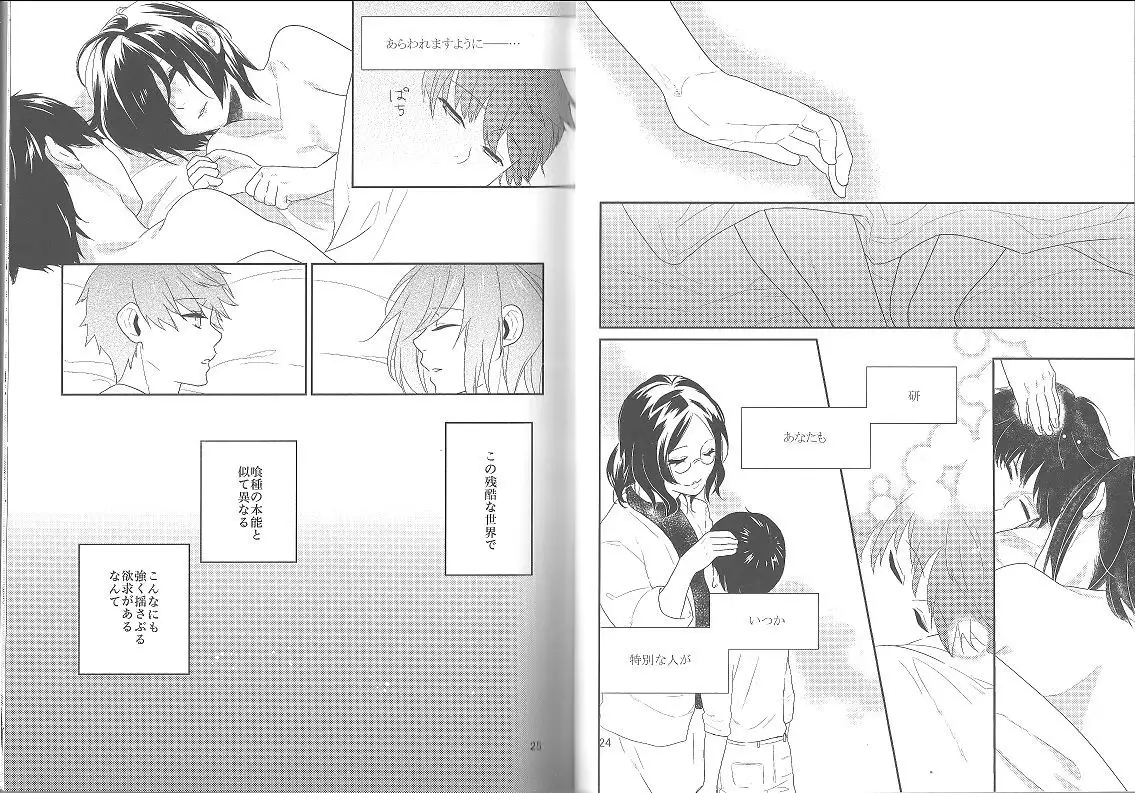 Kokoro o Kogasu, Sore wa