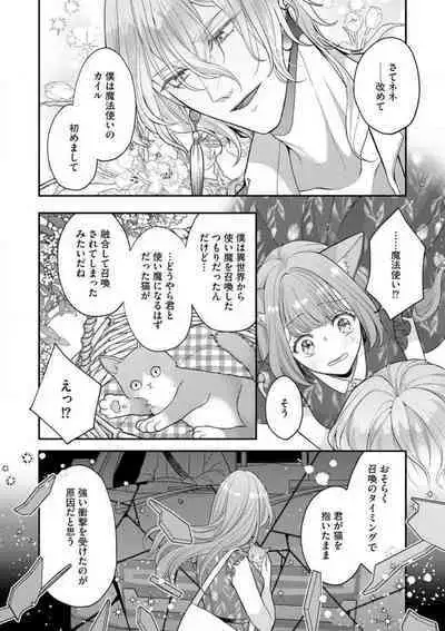 Nene to Ikoku no Mahoutsukai Isekai ni Shoukan Sareta to Omottara, Naze ka Koneko to shite Aigan Saretemasu 1-5