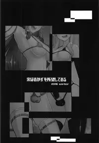 (C91) [Yo wa Okazu wo Shomou Shiteoru (Shian)] Futanari Reimu to Futanari Marisa ga Micro Bikini de Ichaicha Suru Hon (Touhou Project)