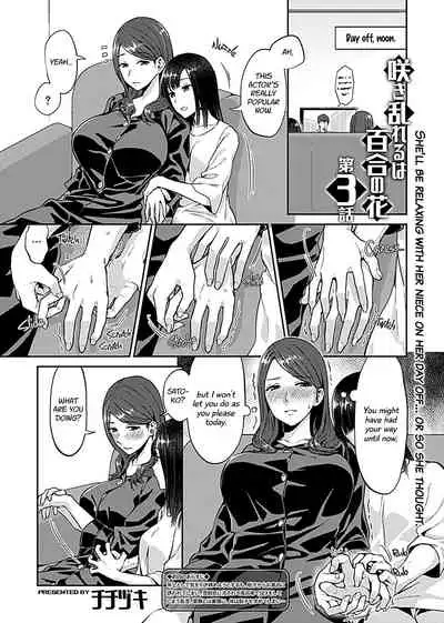 Saki Midareru wa Yuri no Hana | Lilies Are in Full Bloom - Volume 1