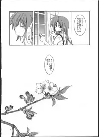 (C77) [MASULAO MAXIMUM (Kazekawa Nagi)] Mangetsu no Yoru ni Hana ~ Tou ~ (Mahou Shoujo Lyrical Nanoha)