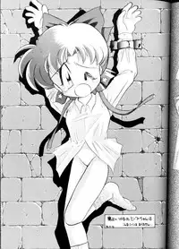 (CR16) [SAIRO PUBLISHING (J.Sairo)] Yamainu Volume.1 (Sailor Moon, Slayers)