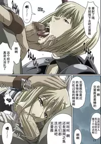 (C72) [Lost Rarities (Takapiko)] Industrial (Claymore) [Chinese] [漫研汉化组&ZONAKG上色] [Colorized]