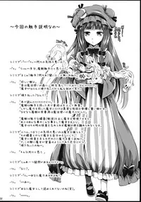 (C81) [YURIRU-RARIKA (Kojima Saya, Lazu)] R Shoku 2A -Toraware Alice- (Touhou Project) [English]